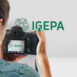 IGEPA fastframe Musterbox