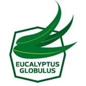 Siegel Eucalyptus Globulus