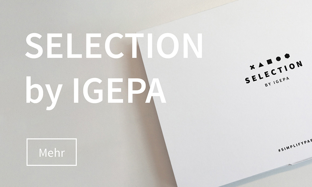 Paper SELECTION IGEPA